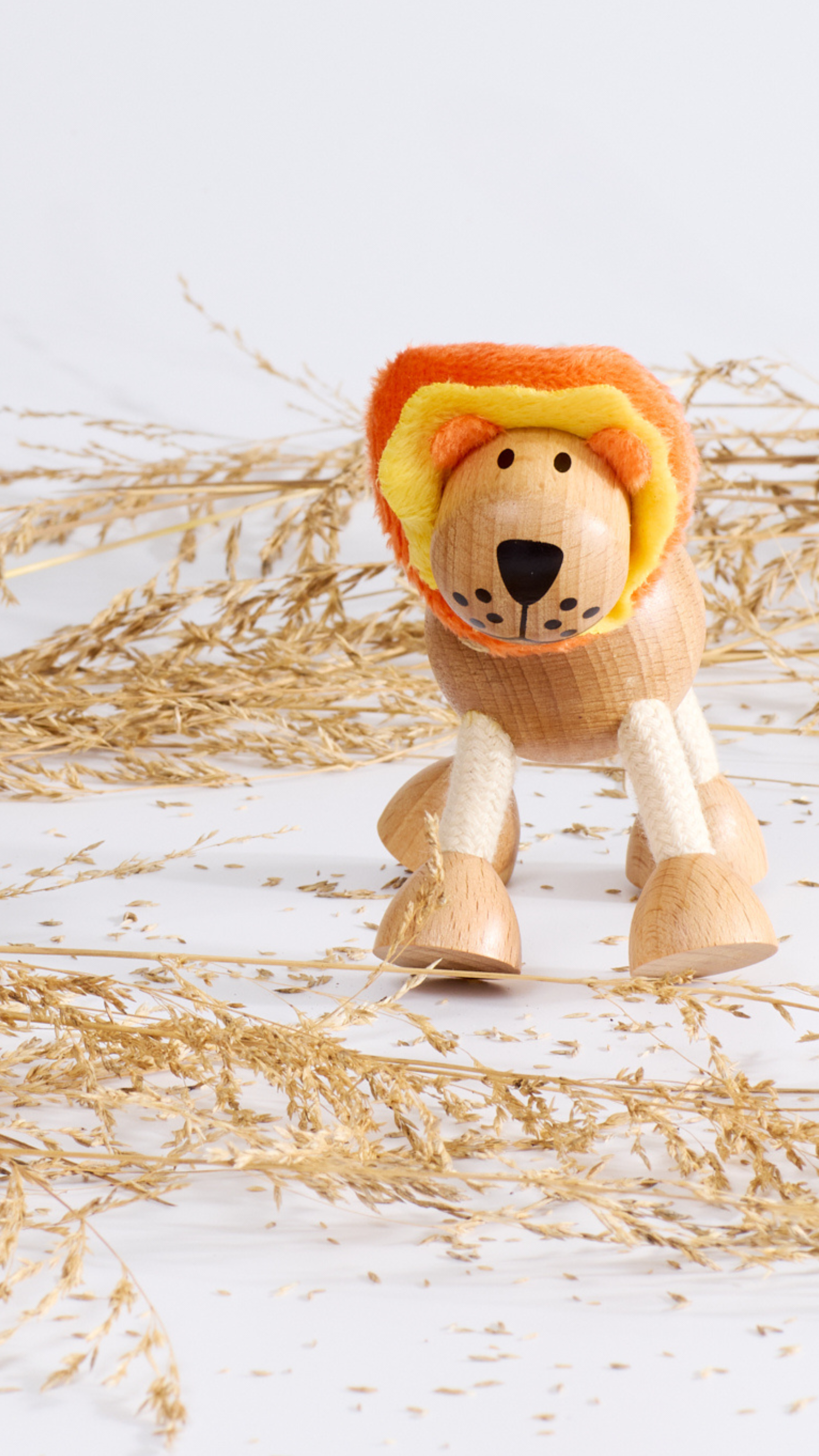 Lion Pride Facts: Family Structure Kids Can Learn From