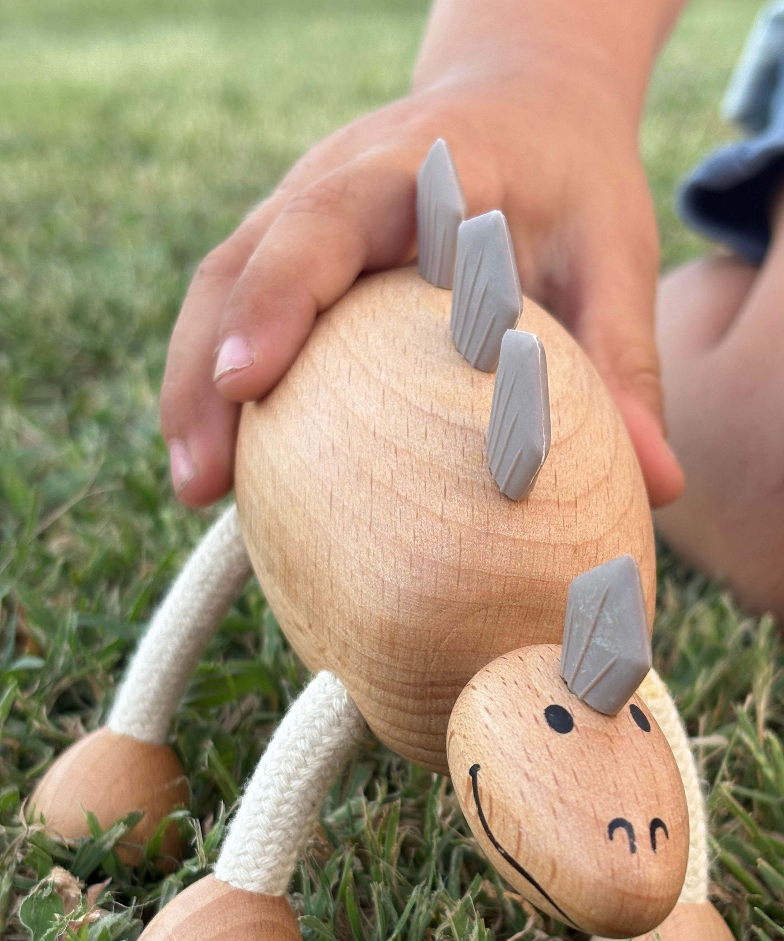 Role Play Toys