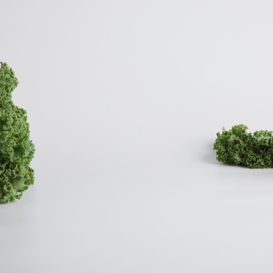 Cute and playful T-Rex dinosaur eco wooden toy with flexi arms and legs, perfect for imaginative play. 