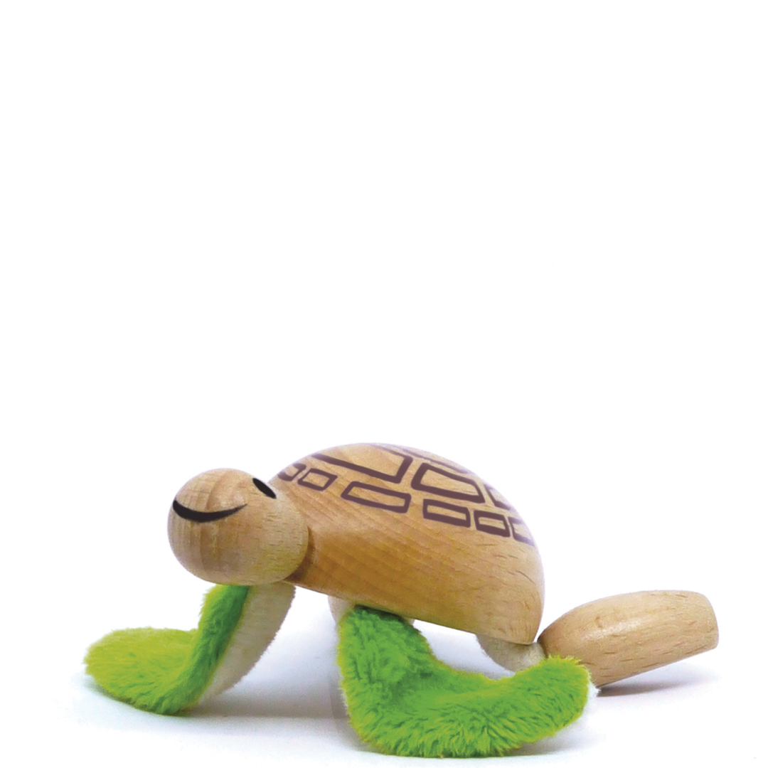 Turtle - Anamalz 